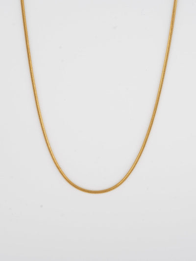 CADENA CUADRADA | Oro de 18K